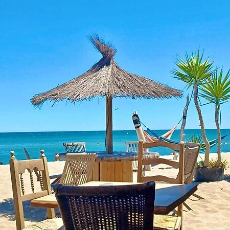 T3 Grande Terrasse Bord De Mer Le Barcarès Dış mekan fotoğraf