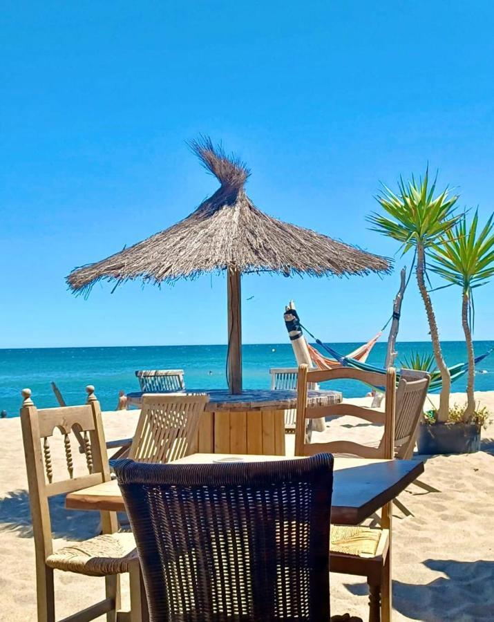 T3 Grande Terrasse Bord De Mer Le Barcarès Dış mekan fotoğraf